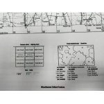 Raciąż N-34-113-C,D. Mapa topograficzna 1:50 000. Układ UTM