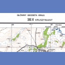 246.14 Kruszyniany. Mapa topograficzna 1:25 000. Układ 1965.