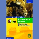 Białowieża Forest. Travel guide