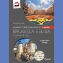 Bruksela, Belgia i Luksemburg. Przewodnik + mapa