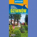 Dziwnów, Wisełka, Dziwnówek, Międzywodzie. Plan miasta 1:9 000.