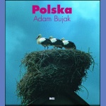 Polska. Album