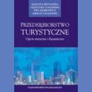 Przedsiębiorstwo turystyczne. Ujęcie statyczne i dynamiczne.