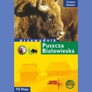 Puszcza Białowieska. Przewodnik