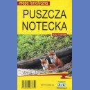 Puszcza Notecka. Mapa turystyczna 1:100 000.