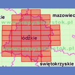 Województwo łódzkie. Mapa topograficzna 1:50 000. Układ UTM - Arkusz